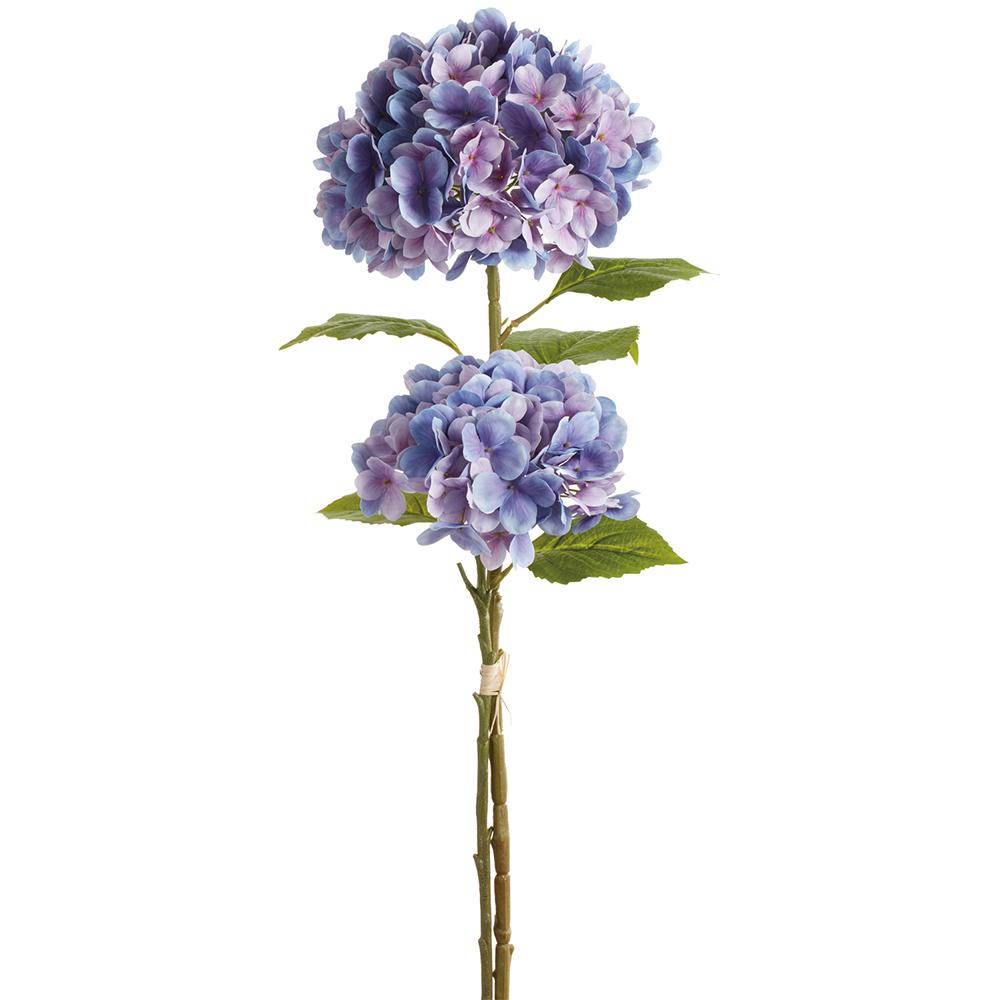 Rama hydrangea bundle 27.5''