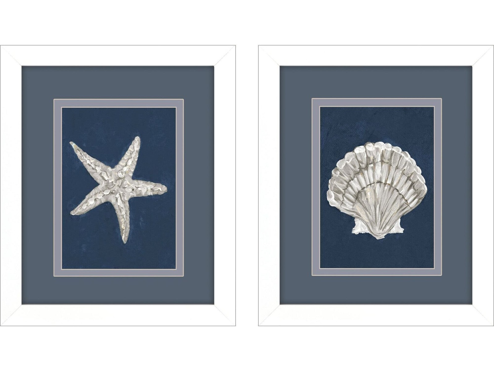 Cuadro starfish scallop S/2