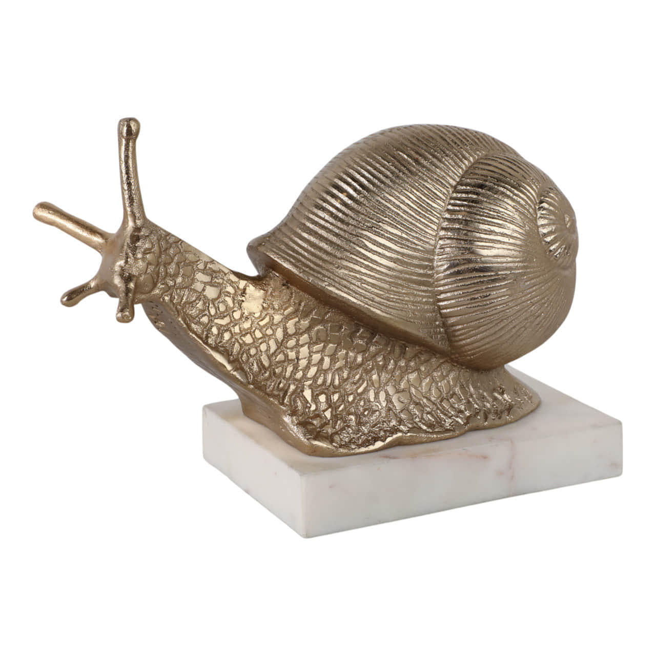 Caracol decorativo amelia 10''