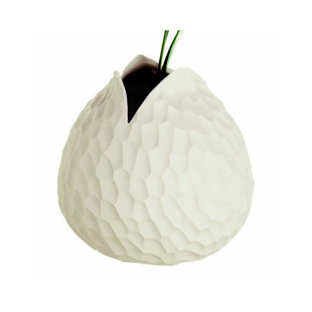 Florero Carve