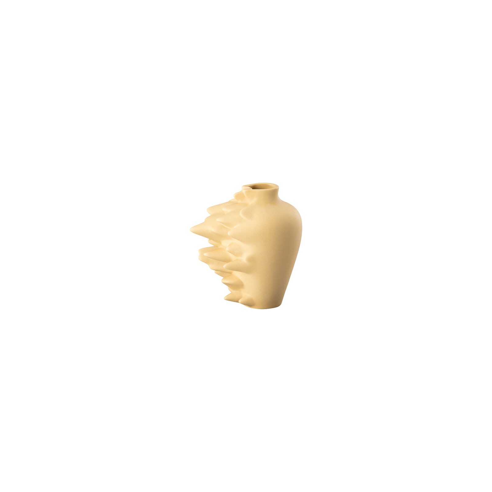 Florero fossil