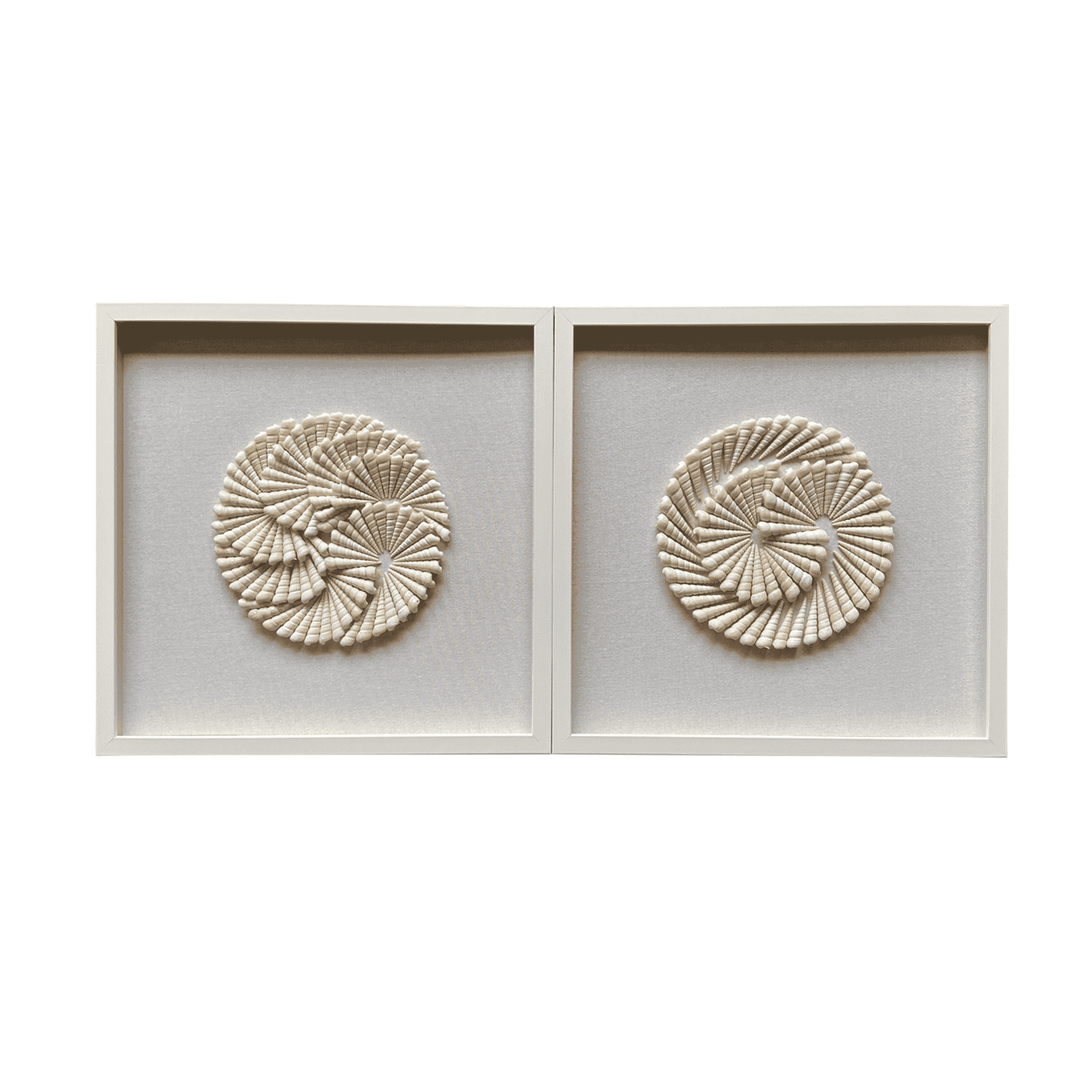 Decoración atlantic shell 2pc