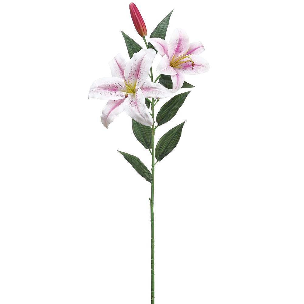 Lirio casa blanca spray 31''
