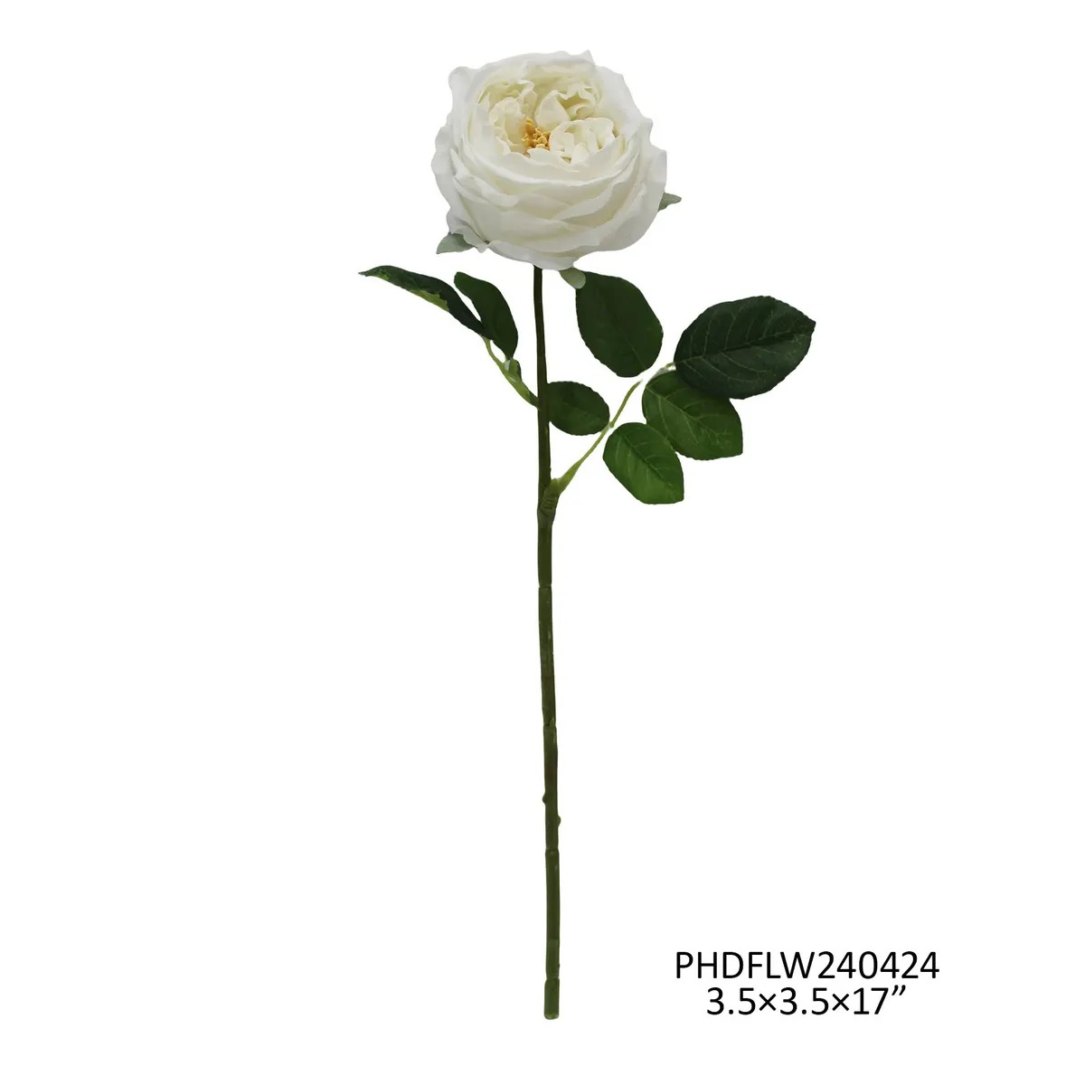 Tallo austin rosa blanco