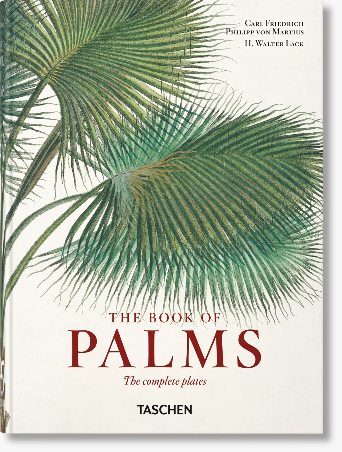 Libro mul-martius the bk of palms 40