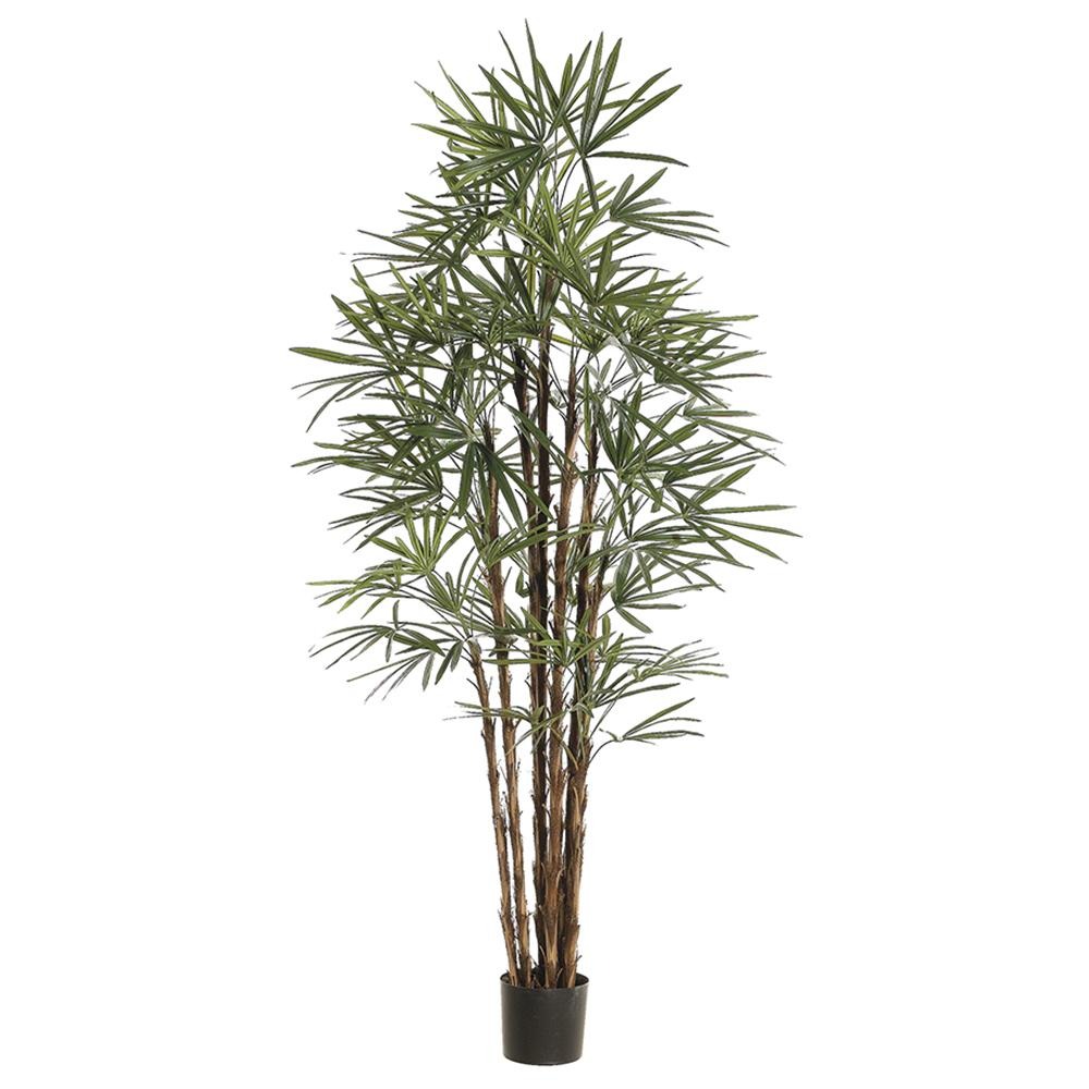 Bamboo 82.6 ''