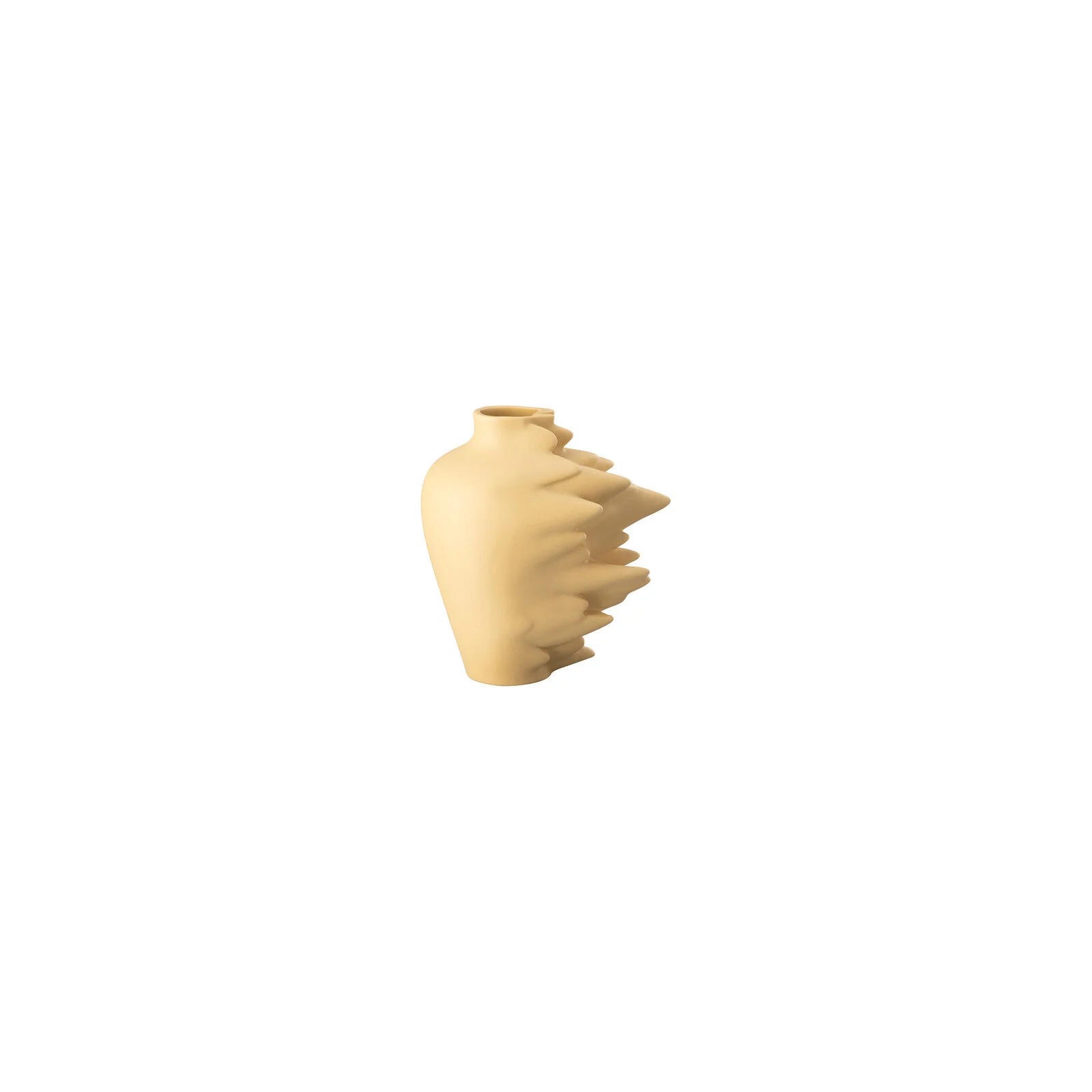 Florero fossil